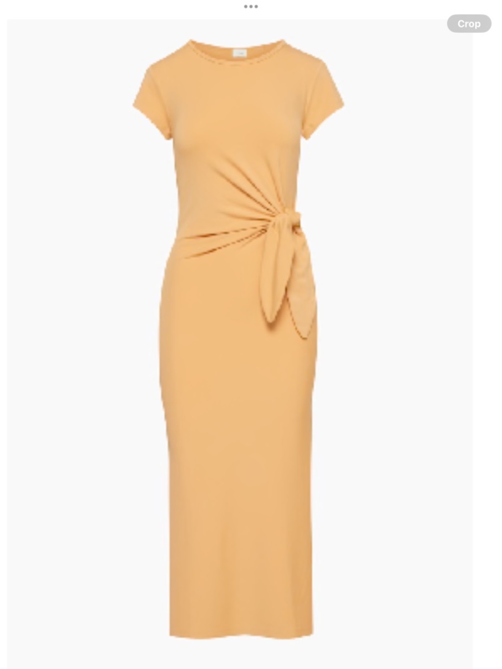 Aritzia Wilfred Fortuna maxi dress small